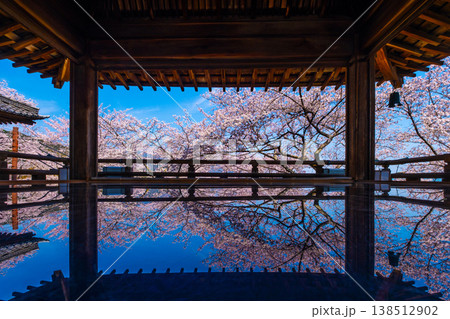 三井寺の観月舞台 床に映る桜 三井寺の観月舞台 床に映る桜 138512902