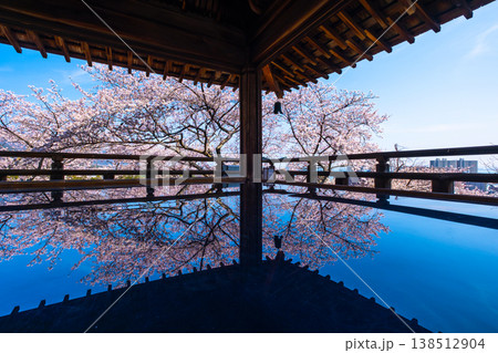 三井寺の観月舞台 床に映る桜 三井寺の観月舞台 床に映る桜 138512904