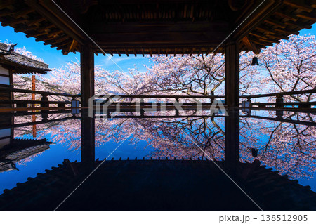 三井寺の観月舞台 床に映る桜 三井寺の観月舞台 床に映る桜 138512905