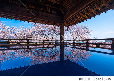 三井寺の観月舞台 床に映る桜 三井寺の観月舞台 床に映る桜 138512930