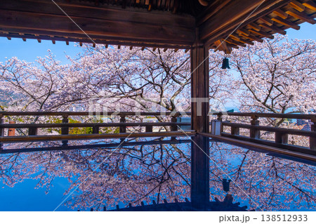 三井寺の観月舞台 床に映る桜 三井寺の観月舞台 床に映る桜 138512933