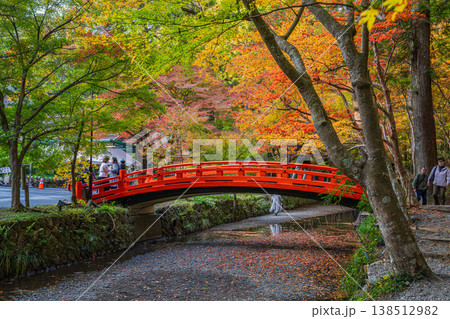 森町の遠江国一宮小國神社の紅葉と一宮川に架かる赤い橋の風景(静岡県) 森町の遠江国一宮小國神社の紅葉と一宮川に架かる赤い橋の風景(静岡県) 138512982