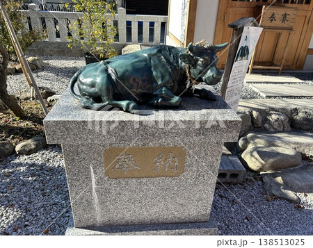 埼玉県秩父市の神社、秩父今宮神社にある石の牛の像、撫で牛です。 138513025