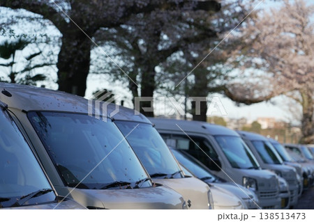桜の下に駐車している車 駐車場 桜の下に駐車している車 駐車場 138513473