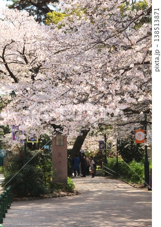 宝塚花の道 宝塚花の道 138513871