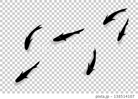 泳ぐ黒い金魚たちのシルエットイラスト（影あり） 138514107