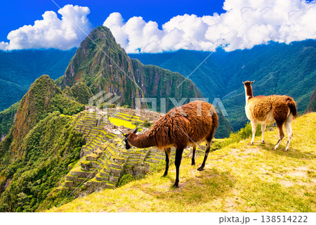 インカ帝国の至宝・マチュピチュ遺跡の絶景 インカ帝国の至宝・マチュピチュ遺跡の絶景 138514222