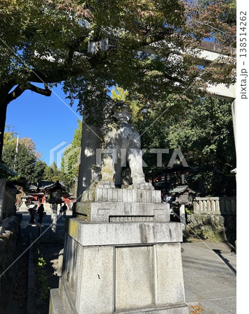 埼玉県秩父市の神社、秩父神社の入り口の狛犬の吽です。 138514262