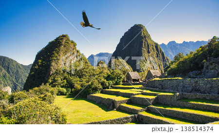 インカ帝国の至宝・マチュピチュ遺跡の絶景 インカ帝国の至宝・マチュピチュ遺跡の絶景 138514374