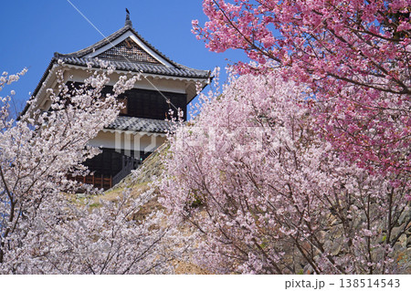 上田城跡公園の桜 上田城跡公園の桜 138514543