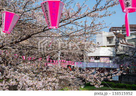 目黒川桜まつりのピンクの提灯と桜のクローズアップ 東京の春 観光イベントの細部 138515952