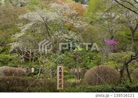 東京都町田市の薬師池公園の風景 東京都町田市の薬師池公園の風景 138516121