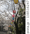 満開の桜並木に飾られた色とりどりの提灯と春の風景 138516247