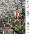 満開の桜とカラフルな提灯に彩られた神社の石段参道 138516248