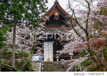 滋賀県 三井寺 滋賀県 三井寺 138516375