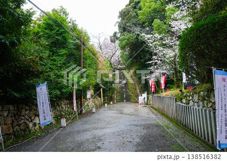 滋賀県 三井寺 滋賀県 三井寺 138516382
