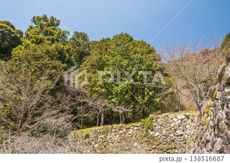 安土城跡の石垣　滋賀県近江八幡市 138516687