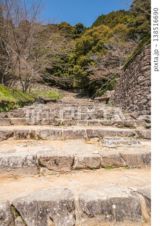 安土城大手道の石段 滋賀県近江八幡市 安土城大手道の石段 滋賀県近江八幡市 138516690