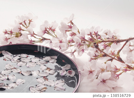 水に浮かぶ桜の花びら 水に浮かぶ桜の花びら 138516729