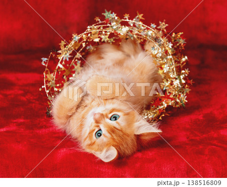 Ginger kitten lying on a red background with a Christmas decoration 138516809