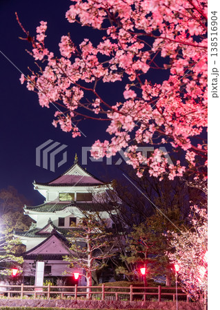 城山公園の夜桜とライトアップされた城 幻想的に染まる春の夜景 城山公園の夜桜とライトアップされた城 幻想的に染まる春の夜景 138516904