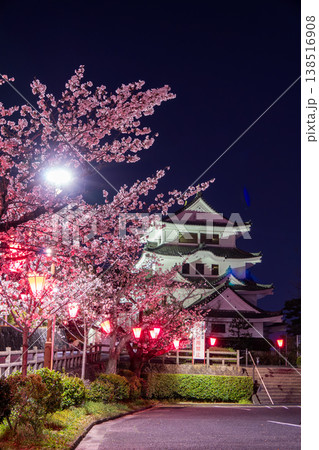 城山公園の夜桜とライトアップされた城　幻想的に染まる春の夜景 138516908