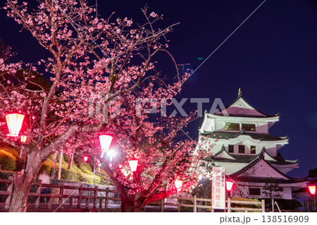 城山公園の夜桜とライトアップされた城　幻想的に染まる春の夜景 138516909