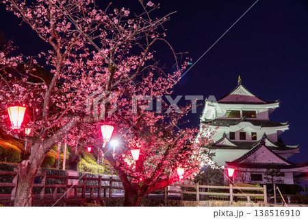 城山公園の夜桜とライトアップされた城　幻想的に染まる春の夜景 138516910