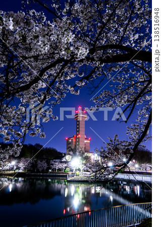 スカイワードあさひと満開の桜 春色に染まる尾張旭の夜景 スカイワードあさひと満開の桜 春色に染まる尾張旭の夜景 138516948