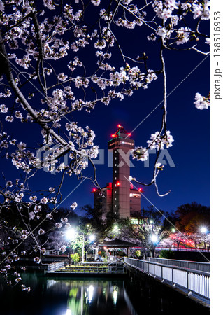 スカイワードあさひと満開の桜　春色に染まる尾張旭の夜景 138516953