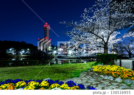 スカイワードあさひと満開の桜 春色に染まる尾張旭の夜景 スカイワードあさひと満開の桜 春色に染まる尾張旭の夜景 138516955