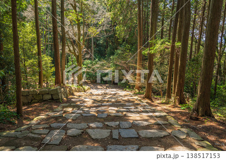 安土城跡の樹林風景　滋賀県近江八幡市安土 138517153