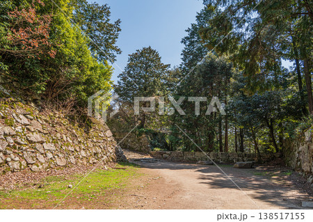 安土城跡の樹林風景　滋賀県近江八幡市安土 138517155