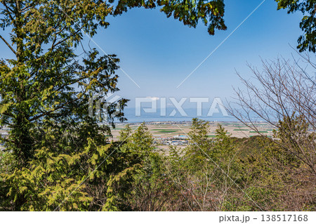 安土城跡の樹林風景　滋賀県近江八幡市安土 138517168