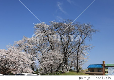埼玉県行田市さきたま古墳の風景 138517319