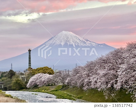 潤井川龍巌淵から見る桜と富士山 潤井川龍巌淵から見る桜と富士山 138517742