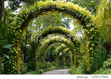 Botanical Garden Archway Path Lush Greenery Serene 138517984