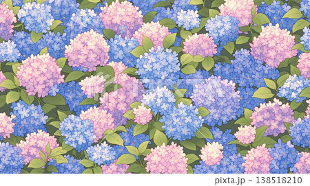 紫陽花が咲き誇る静かな雨の庭園風景 日本の梅雨と初夏を感じる幻想的な自然背景素材 138518210
