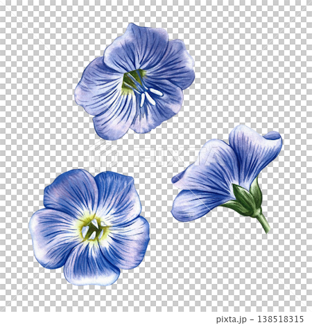 Blue linen flowers. Hand-drawn watercolor illustration. Perfect for labels and packaging, textiles and decor, as well as for banners, posters, and more. Blue linen flowers. Hand-drawn watercolor illustration. Perfect for labels and packaging, textiles and decor, as well as for banners, posters, and more. 138518315
