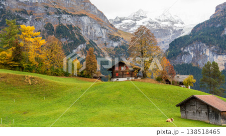 スイス、ベルン州、グリンデルワルト。緑の高山草原にある伝統的なシャレーと雪を頂いた山頂が見えるアルプ 138518465