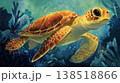 優雅に泳ぐウミガメ 138518866