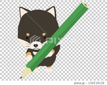 一隻拿著鉛筆的黑色柴犬 一隻拿著鉛筆的黑色柴犬 138519138