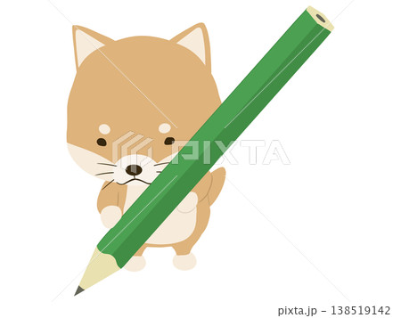 鉛筆を持つ柴犬 138519142