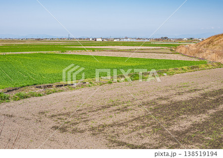 滋賀県東近江市の田園風景 滋賀県東近江市の田園風景 138519194