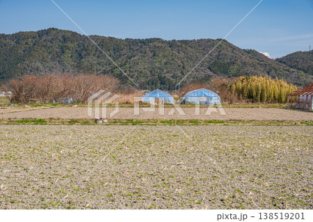滋賀県東近江市の田園風景 滋賀県東近江市の田園風景 138519201