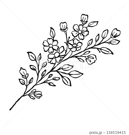 Delicate Wildflower Branch Botanical Garden Flowers Cottagecore Floral Line Art Illustration 138519415