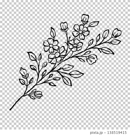 Delicate Wildflower Branch Botanical Garden Flowers Cottagecore Floral Line Art Illustration 138519415