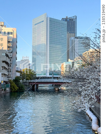 大岡川の桜と高層ビルが織りなす横浜の春 2026.04 横浜市, 日本 大岡川の桜と高層ビルが織りなす横浜の春 2026.04 横浜市, 日本 138519490