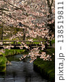 桜 138519811