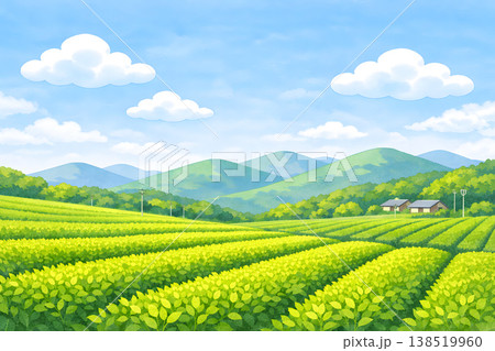 初夏の茶畑と山の風景イラスト・宇治・静岡イメージ（水彩風） 138519960